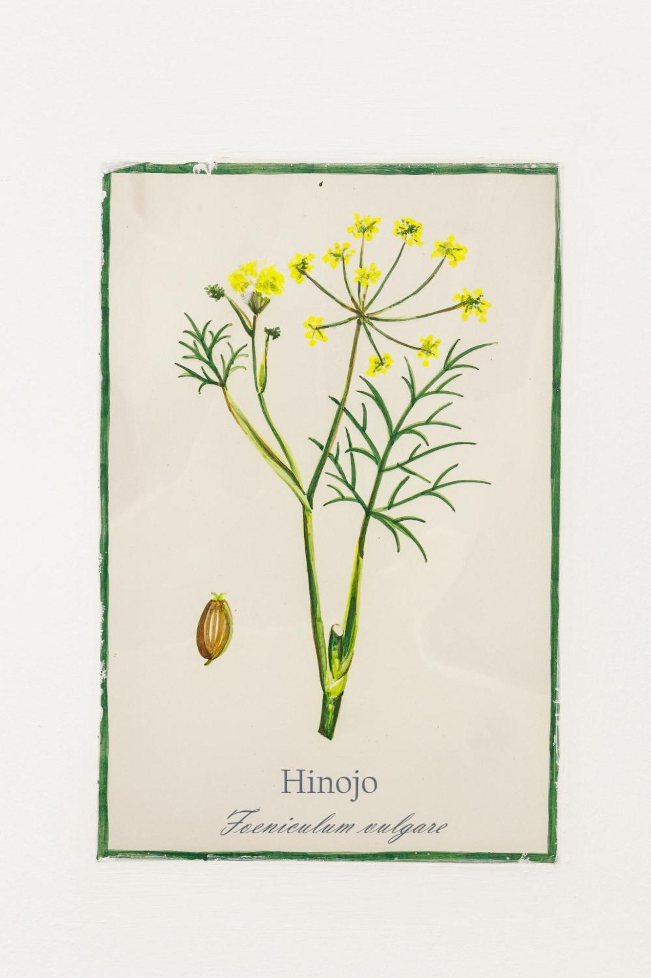 Arte De Cozina Antequera